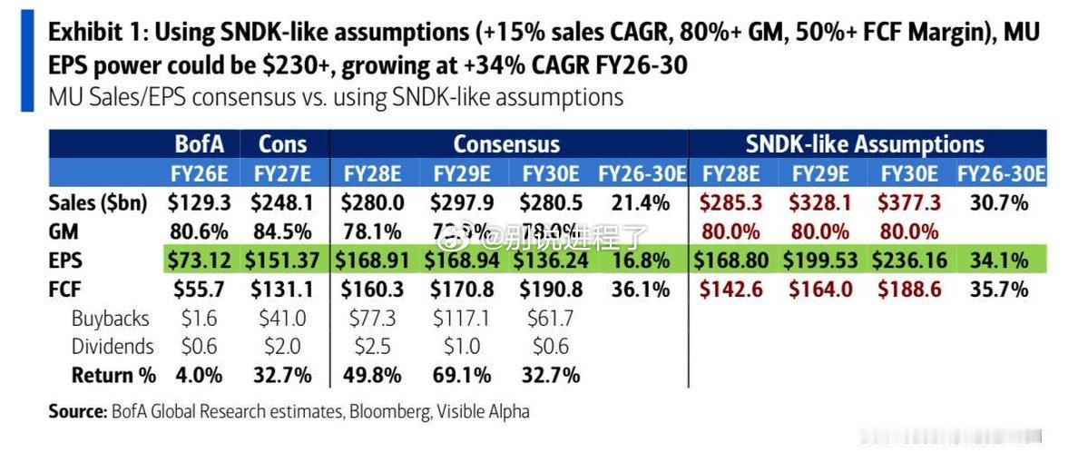 BofA 提出了一个针对 美光 的有趣情景 BofA 将 SanDisk 式的假