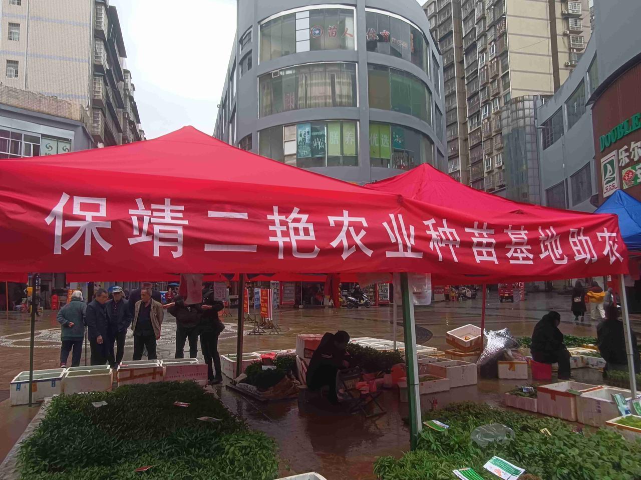 我的今日状态：😁轻松愉快
我这里的天气：🌧下雨
每年3～4月，都是栽种蔬菜的