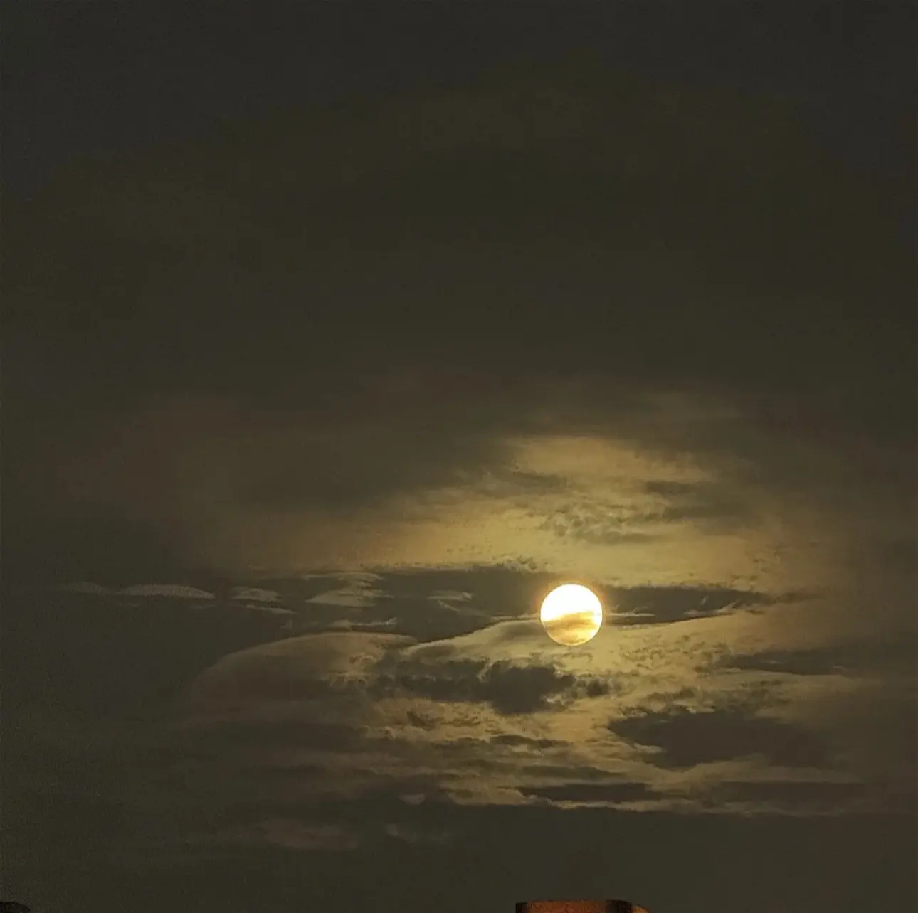 或许只有月亮才知道我在想什么🌙