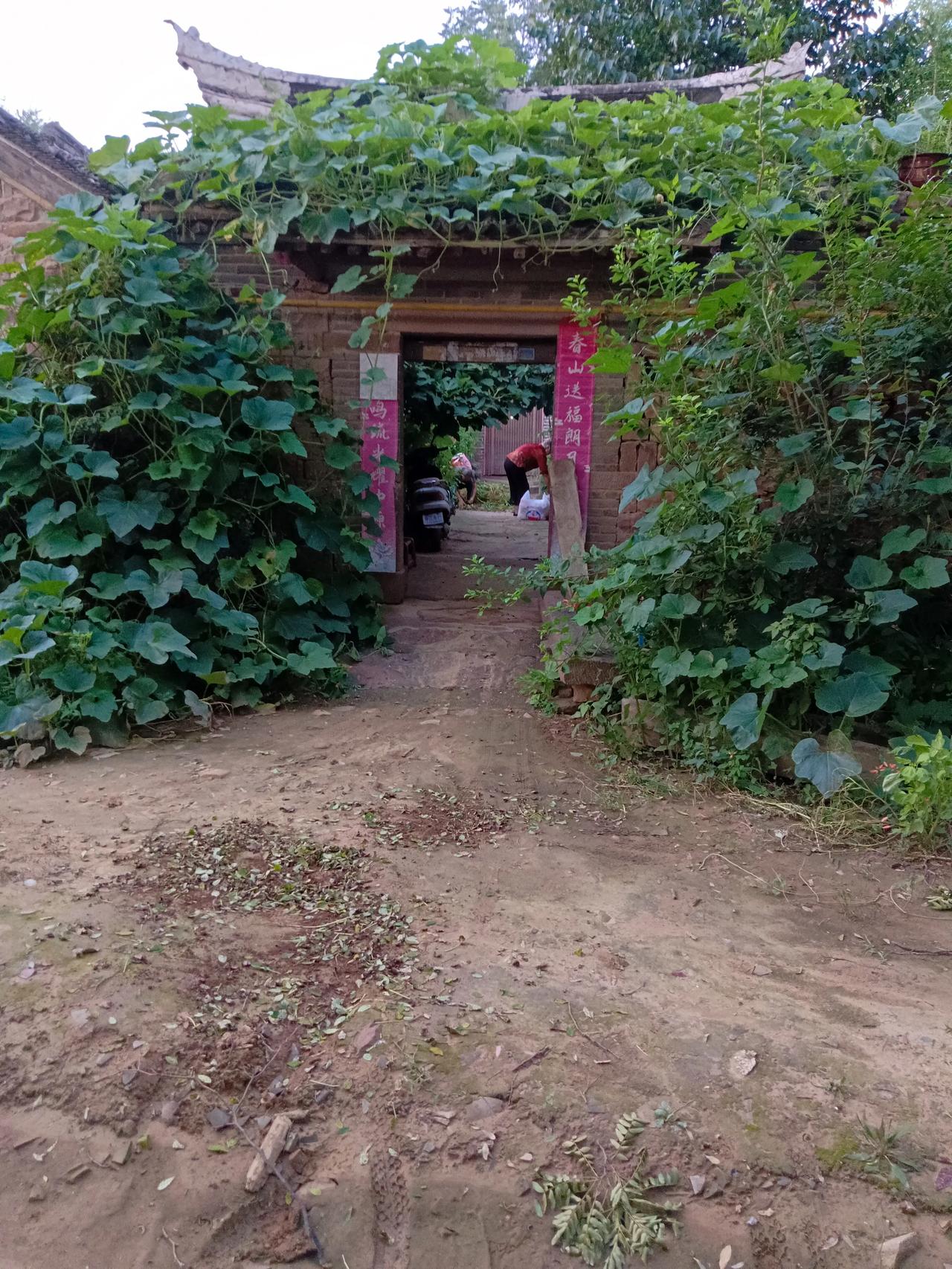 我的老家，生我养我的地方。河南郏县安良镇岩郭村！