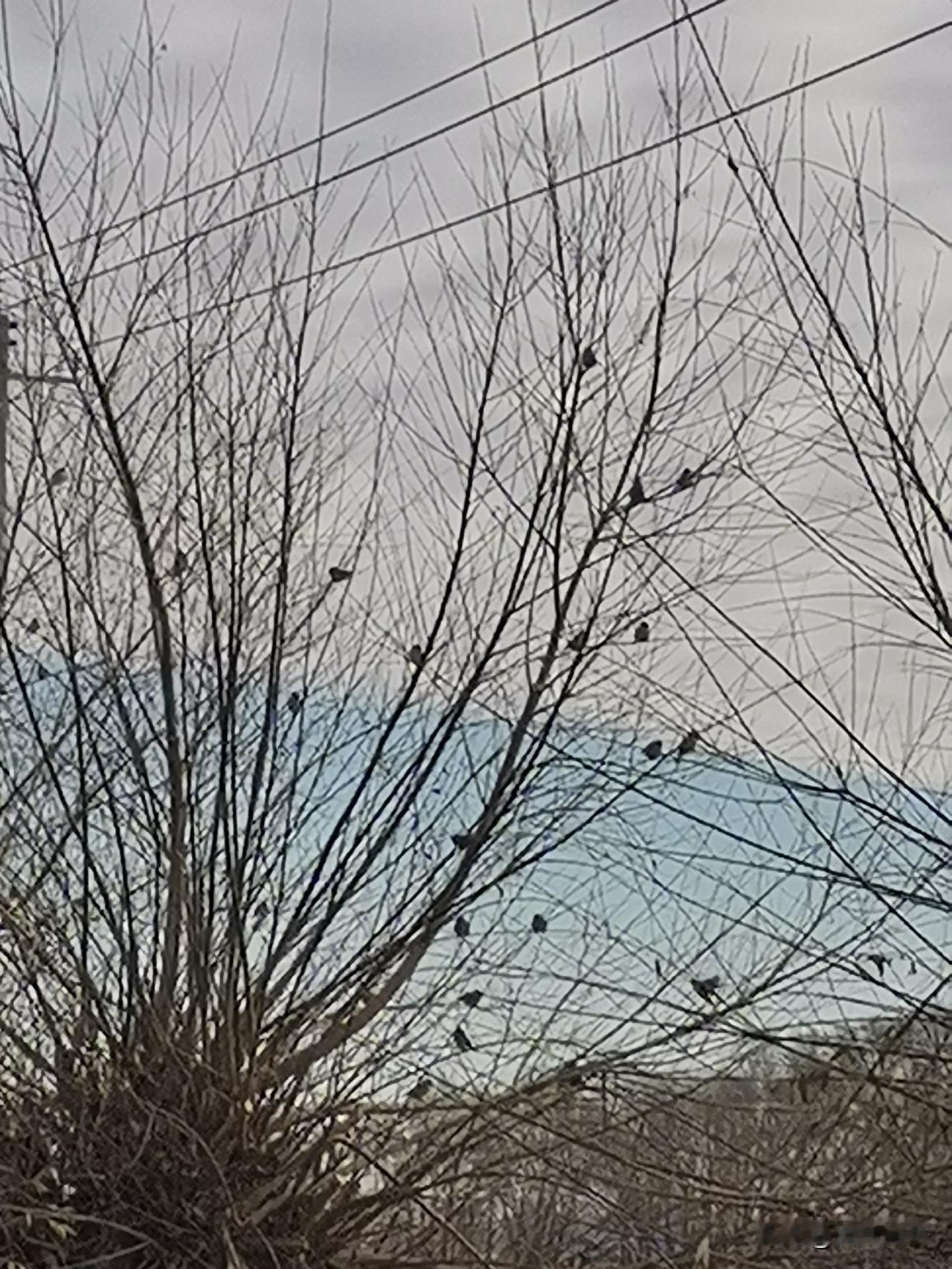 家人们！今天地球是开了震动模式吗？四川甘孜4.9级、云南大理4.8级、新疆塔城3