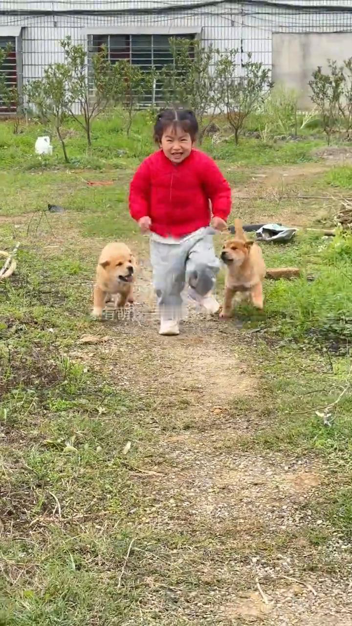 你别笑。