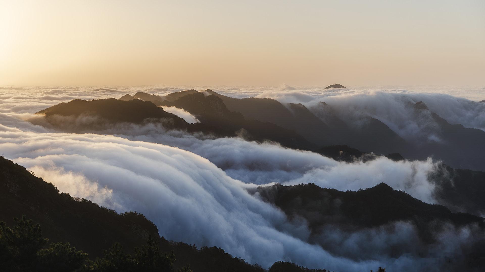陈坤体验一山四季 穿行在层林叠翠的山野间，陈坤举手投足都悠然自在。俯身观溪、抬眼
