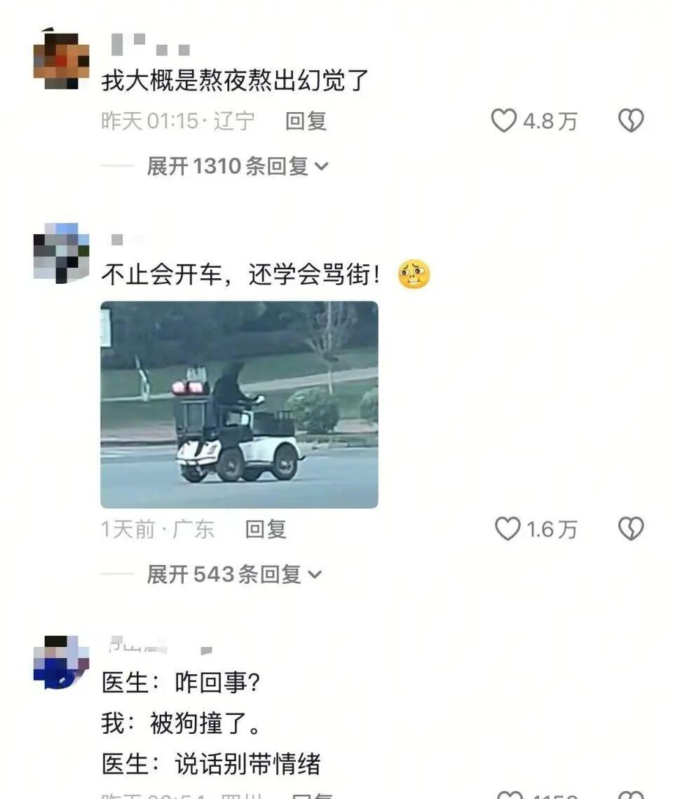 【爱车安全贴士起猛了？！网友看到拉布拉多在开车，还一边“开”一边狂吠？狗主人称练