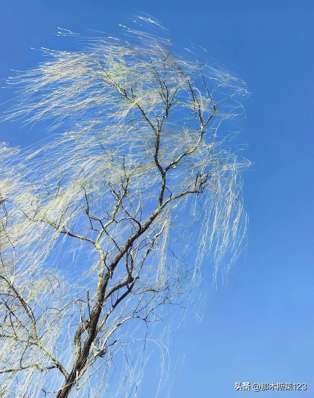 平台邀对
上联：雨润繁花添锦绣，诚邀下联
上联:雨润繁花添锦绣(头条)
下联:风