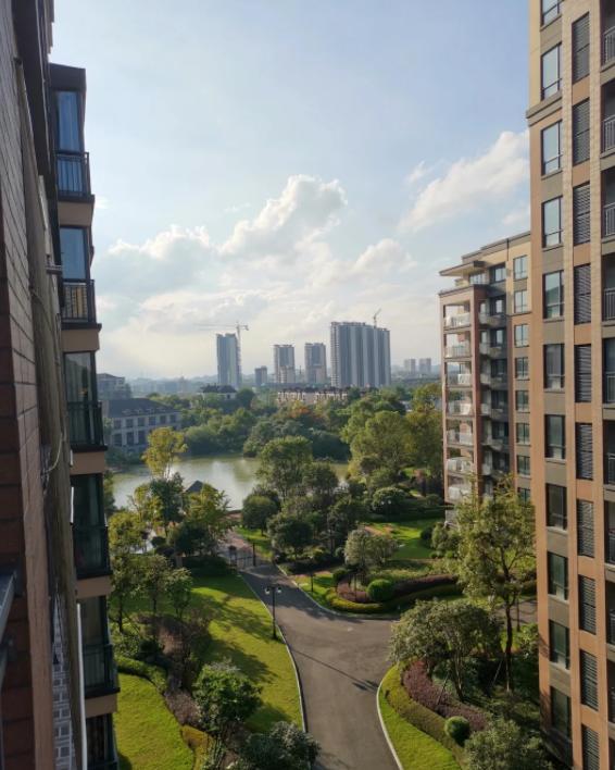 烟花秀变火场，美国250周年庆典现意外
亲爱的朋友们大家好，我是海林小百科，今天