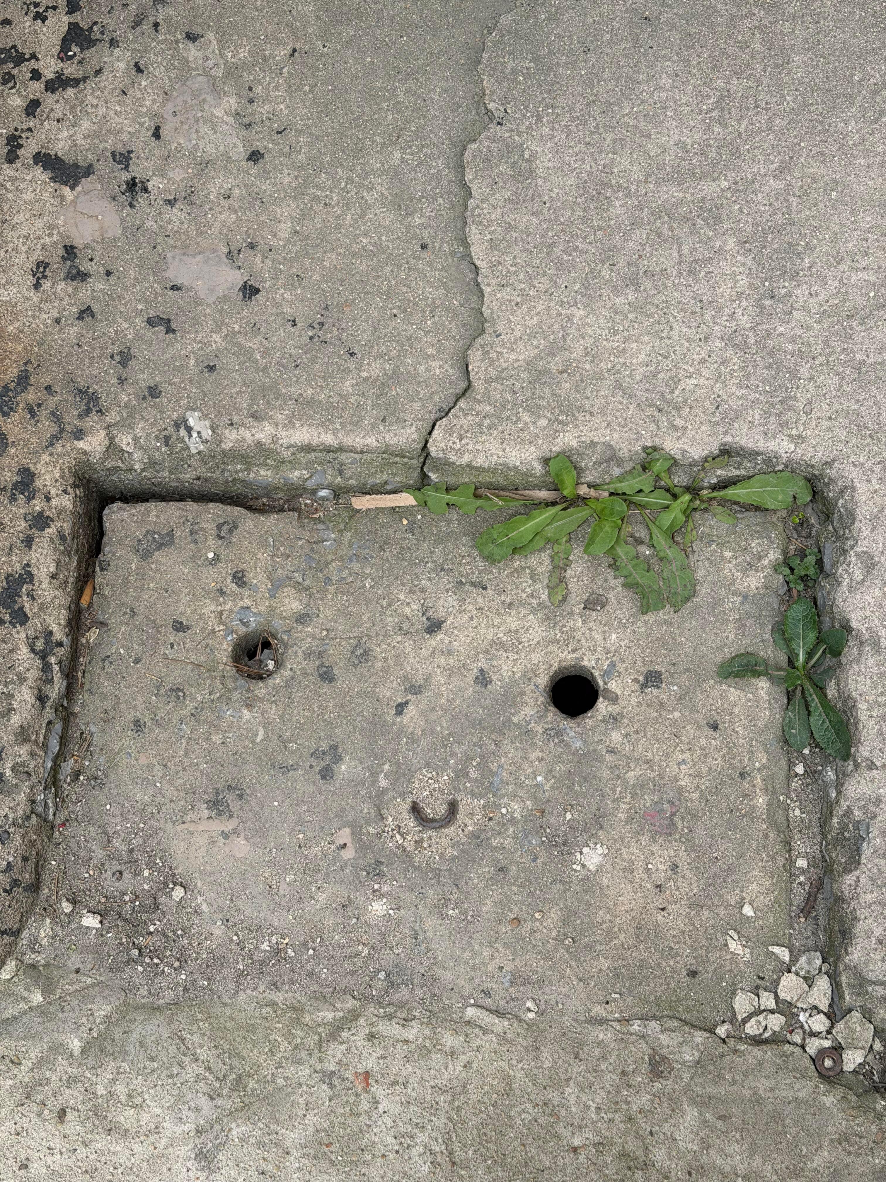 有人能懂这个笑脸吗 