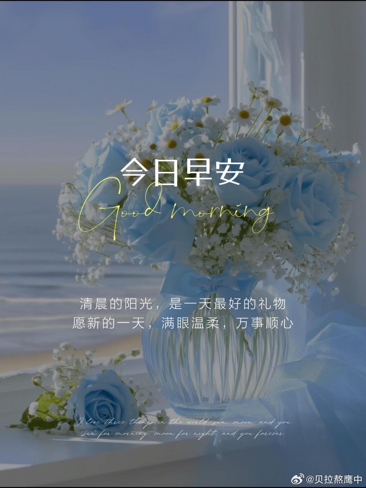 早安 晨起迎光，心生温柔，接纳生活所有起落，包容人间所有平凡。以平常心看世事，以