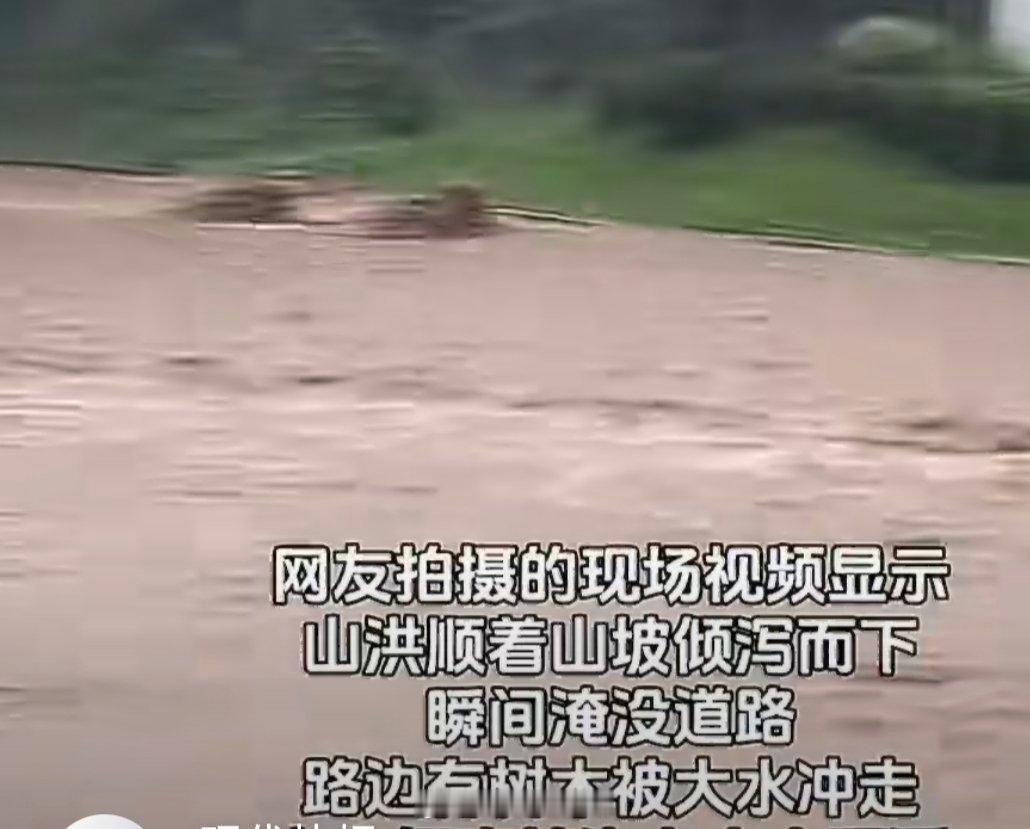 江苏宜兴成片竹林树木被洪水冲走平时宣传里“竹海千年不倒”，一场山洪就把成片竹子像