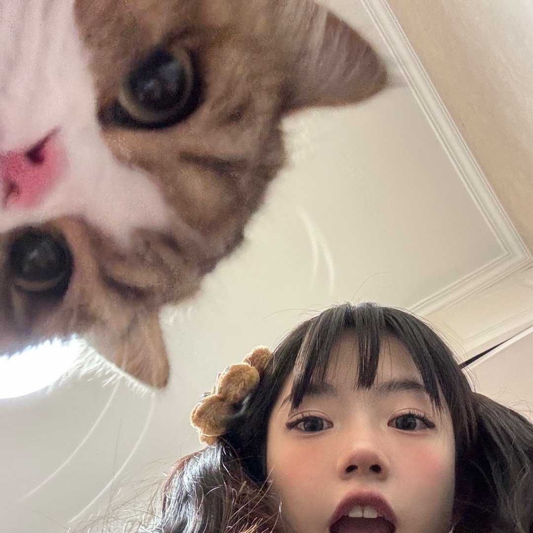 朋友家的猫猫好可爱 ​​​