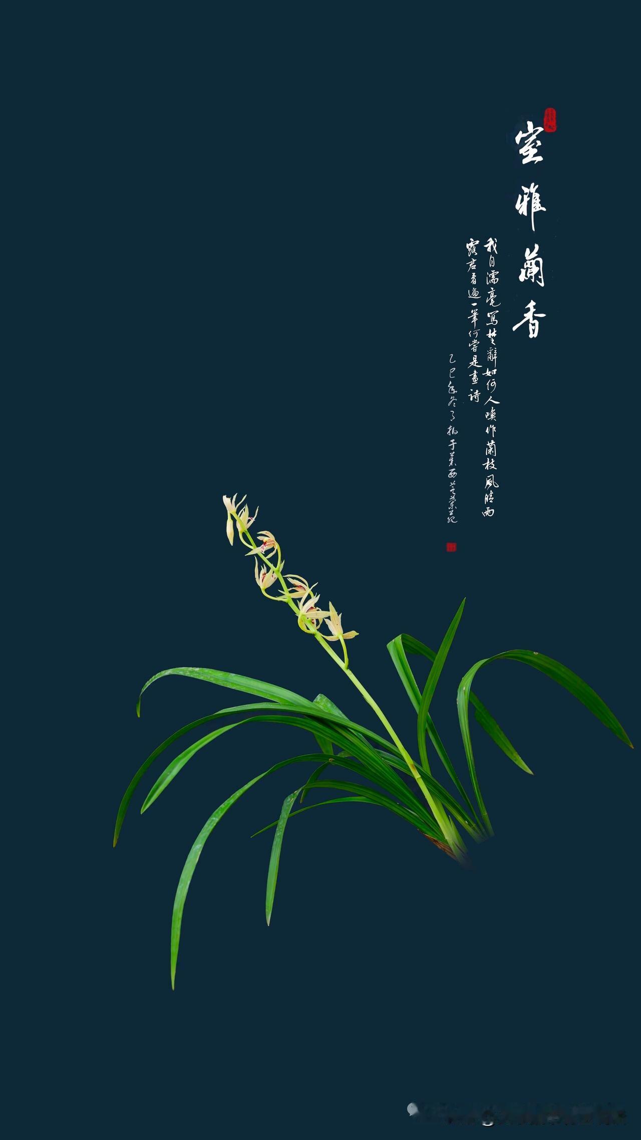 张维为说了两句民间谚语：好人不知道坏人有多坏，坏人不知道好人有多好。醍醐灌顶！茅