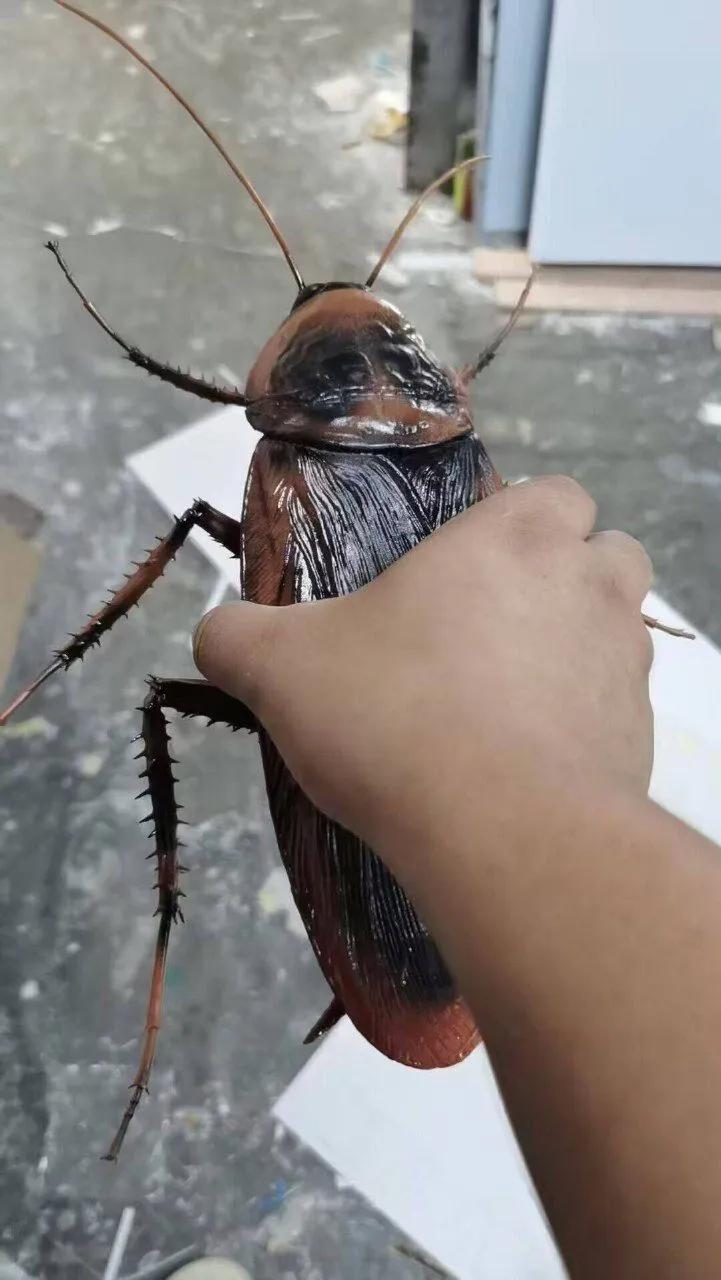 这是真的？太吓人了吧[what]