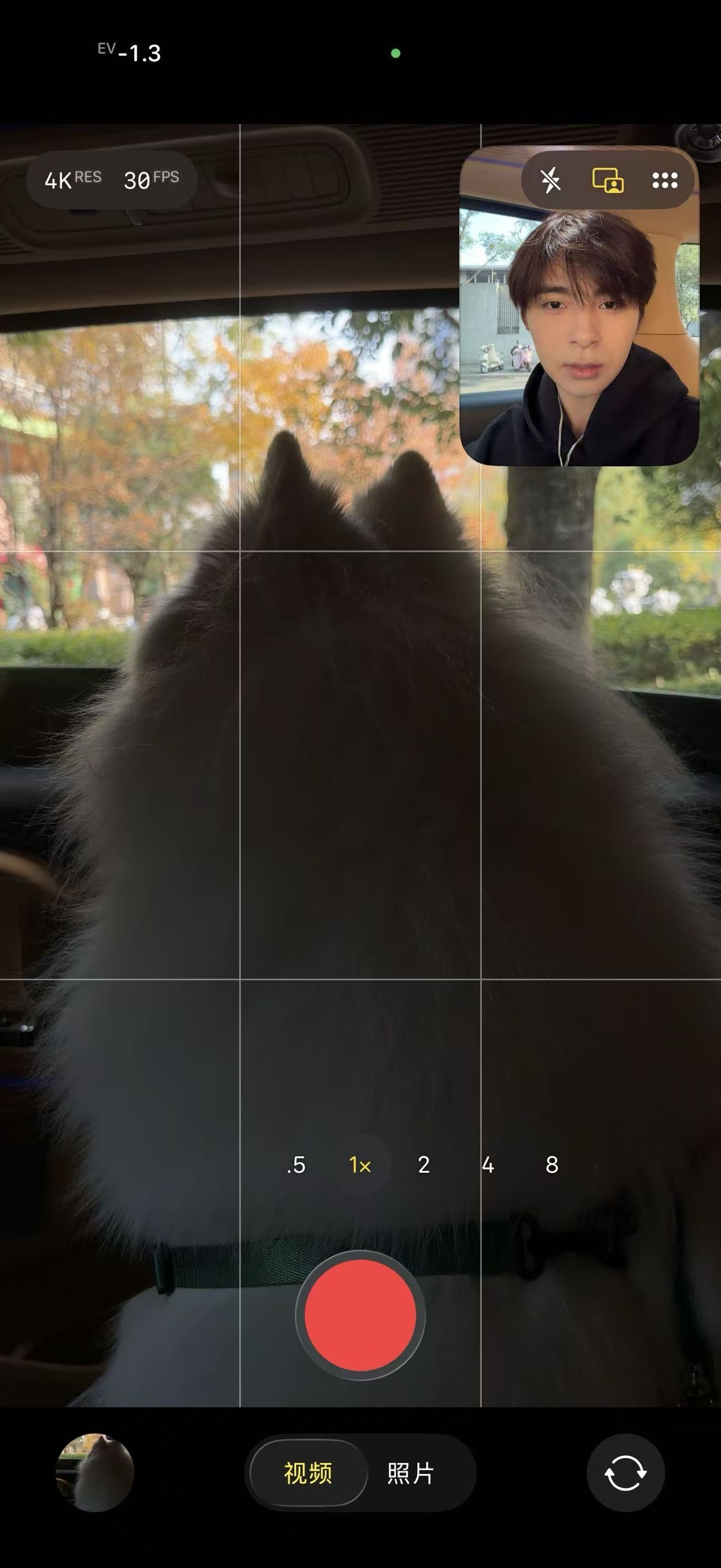 伞兵带着多肉开启趣味出行，双视角记录生活碎片，这波粗去丸的快乐谁懂啊！ 