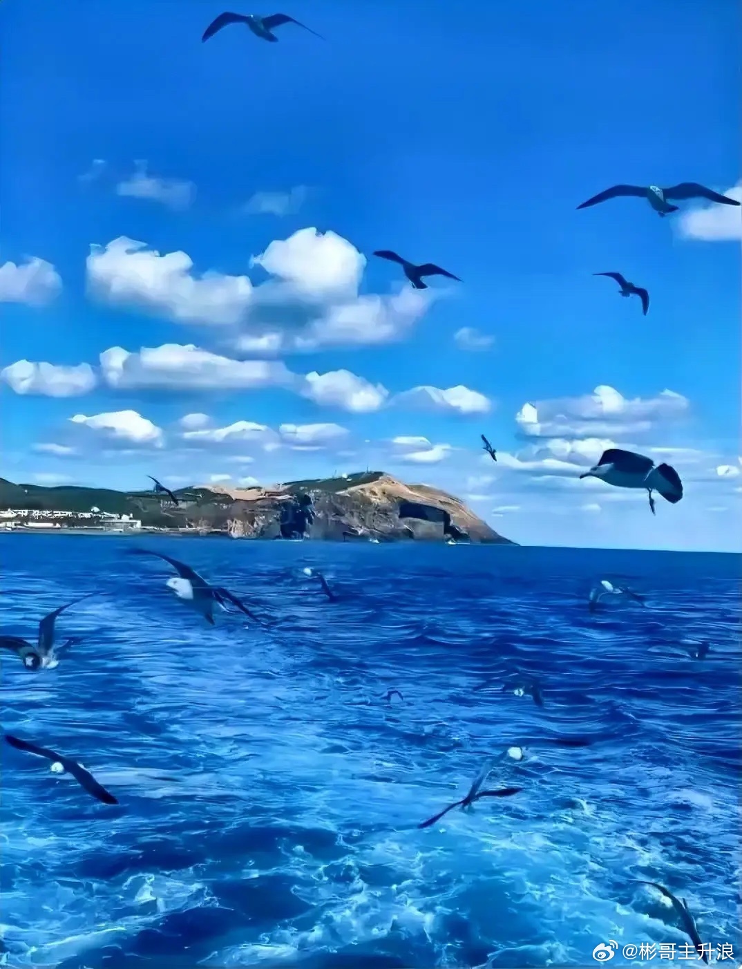 从行为金融学的角度看，投资的本质是 managing oneself（管理自我）