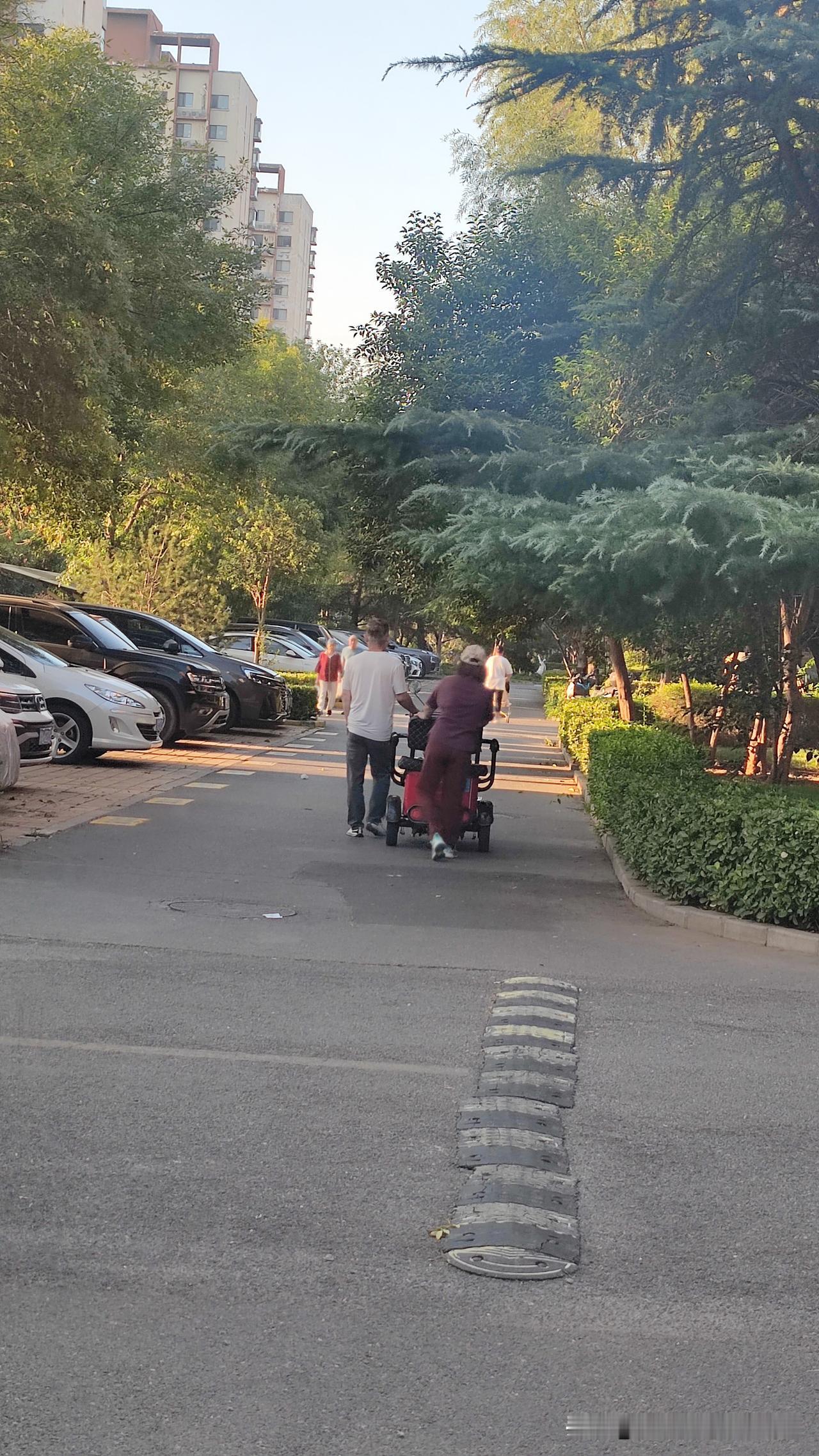 小区里常常能看见这一对夫妻，让人看了心里很触动。
 
丈夫走在前面，推着三轮车把
