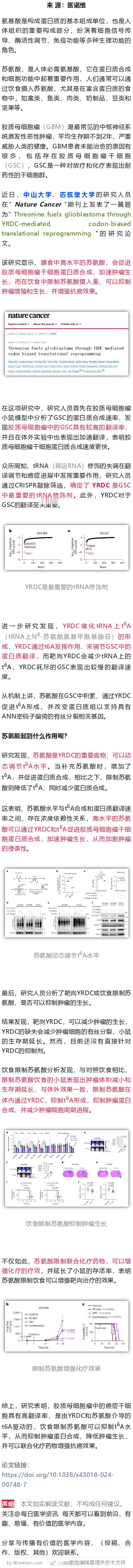 中山大学研究发现，这种氨基酸吃太多，或加速肿瘤生长，抑制抗癌效果近日，中山大学、