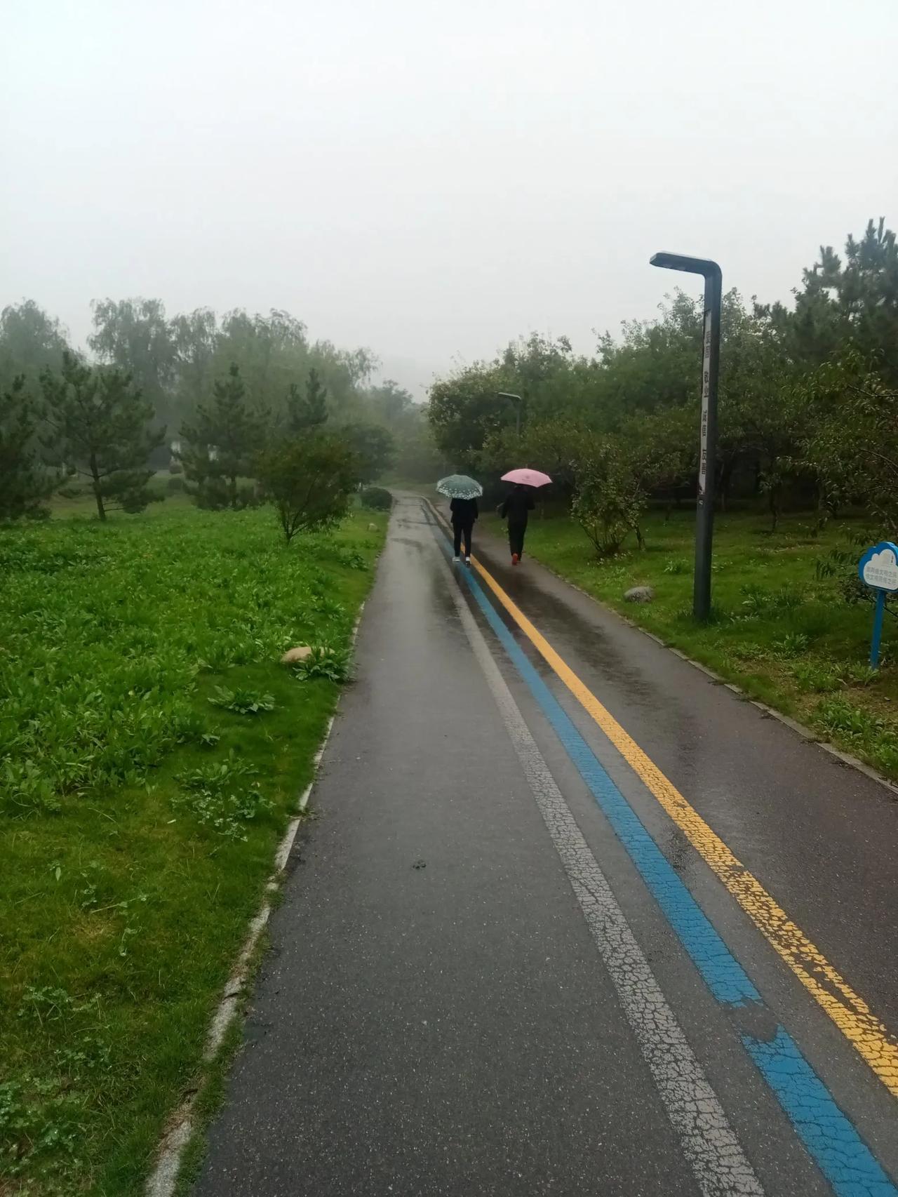 阴雨天气怎么没完没了?十月一假期，济南地区八天里有七天都在下雨。雨不算大，却淅淅