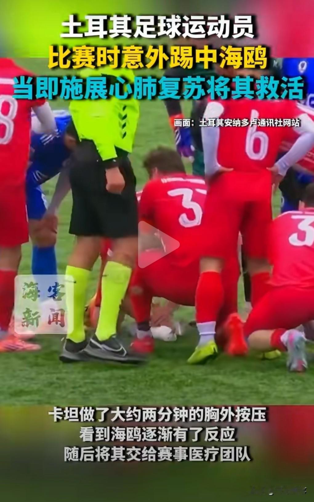 这真是活久见啊。

当地时间2月23日，土耳其球员踢球意外击中海鸥。

球队的队