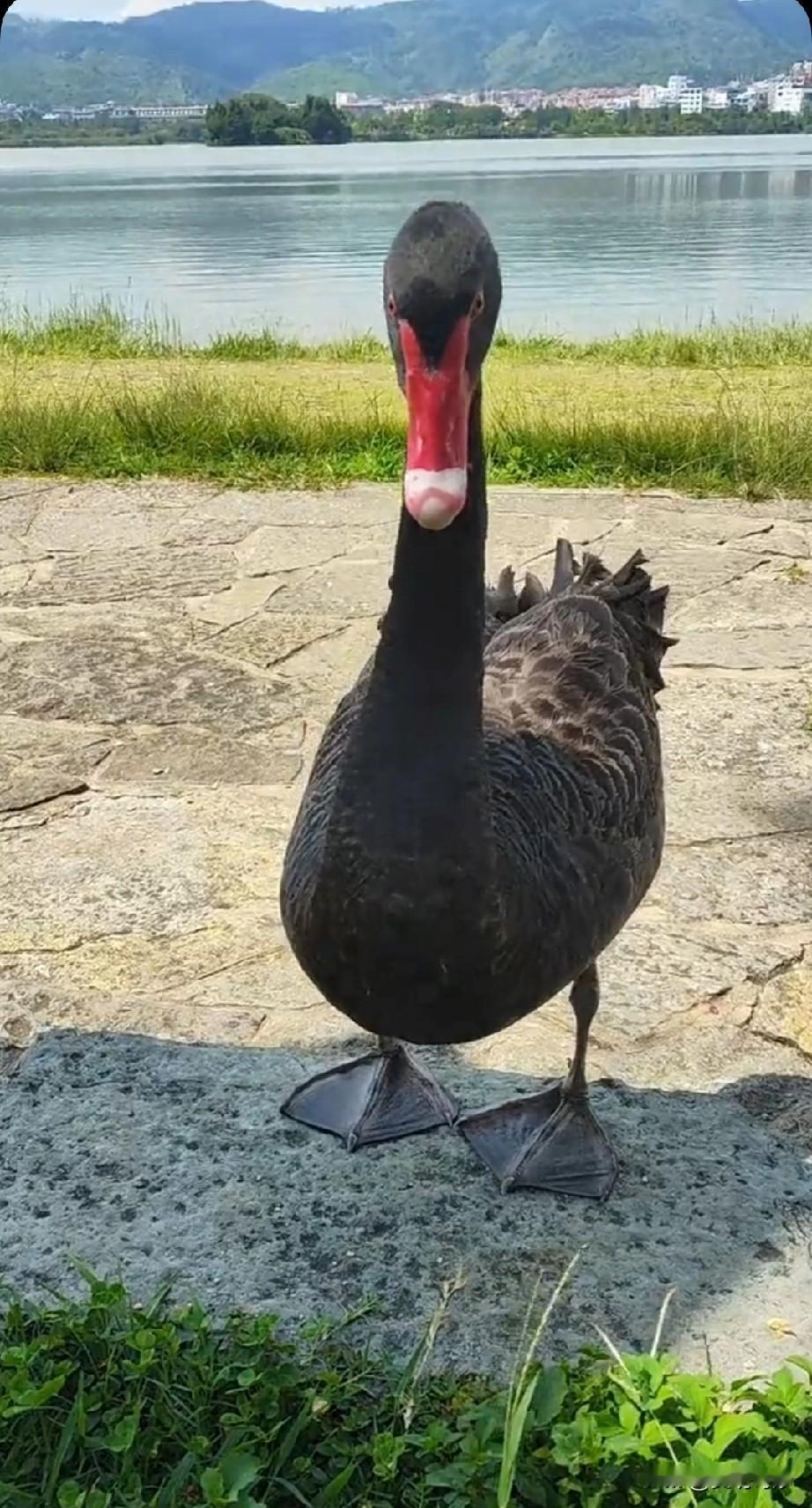 我的今日状态：😁轻松愉快
我这里的天气：☀️晴天