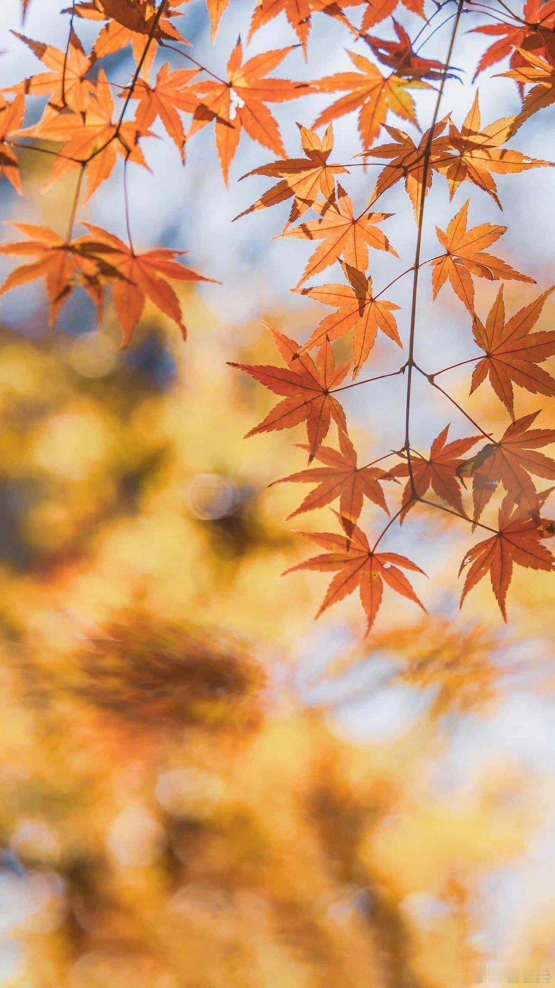 '早安早安,新的一天治愈不开心人生感悟人生微语早安心语 情感语录每天说早安心情日