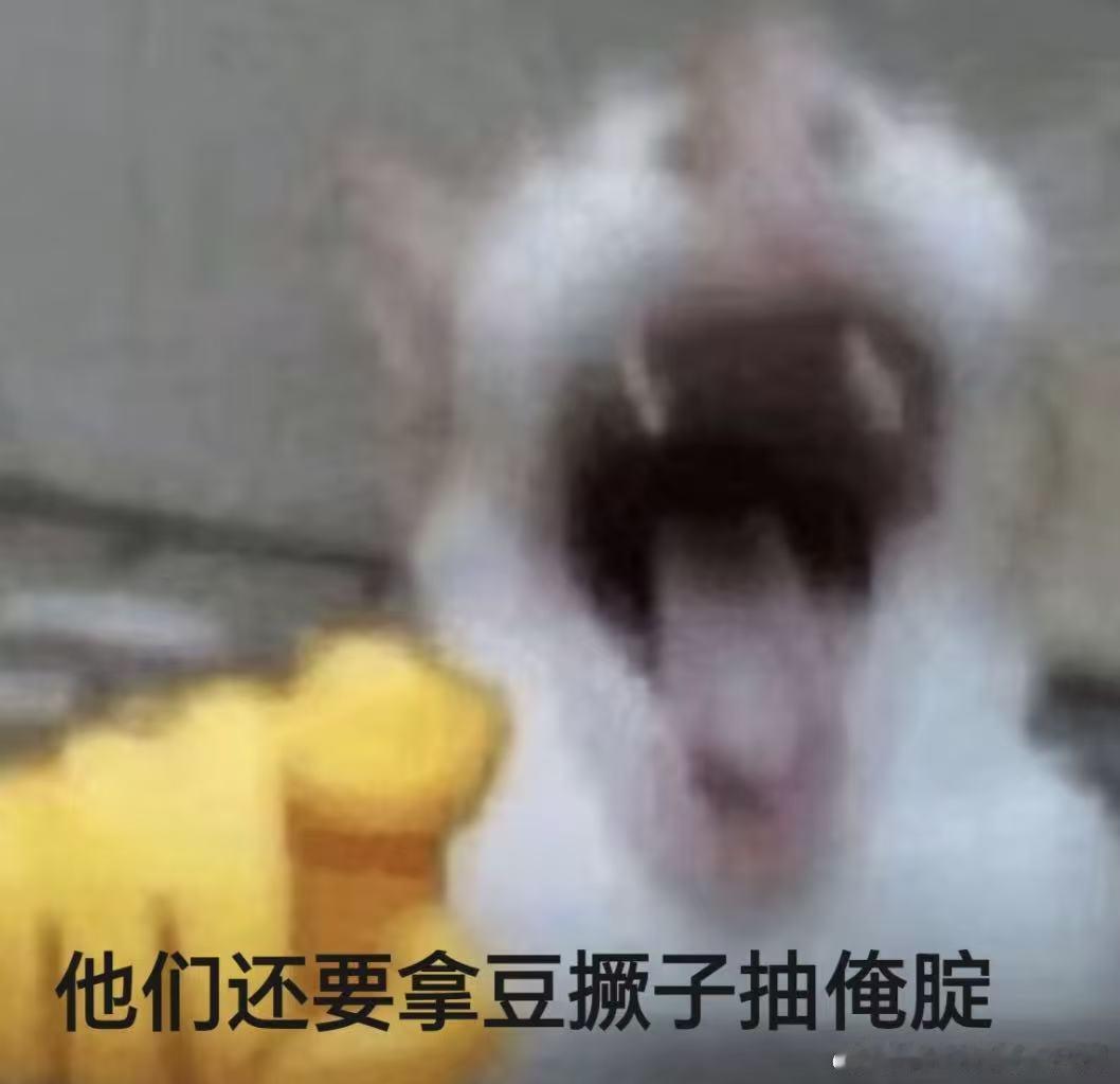 山东方言有一瞬间回村的感觉  山东方言似奇妙开关，张嘴乡土味就浓。日常唠嗑、土味