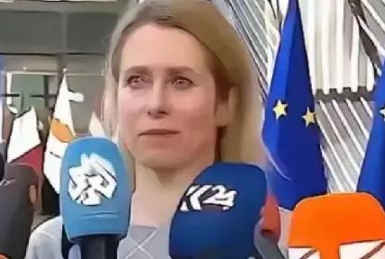 欧盟向中国放出狠话，只要是欧洲关于高科技领域研发的项目，中国别想着参与进来，因为