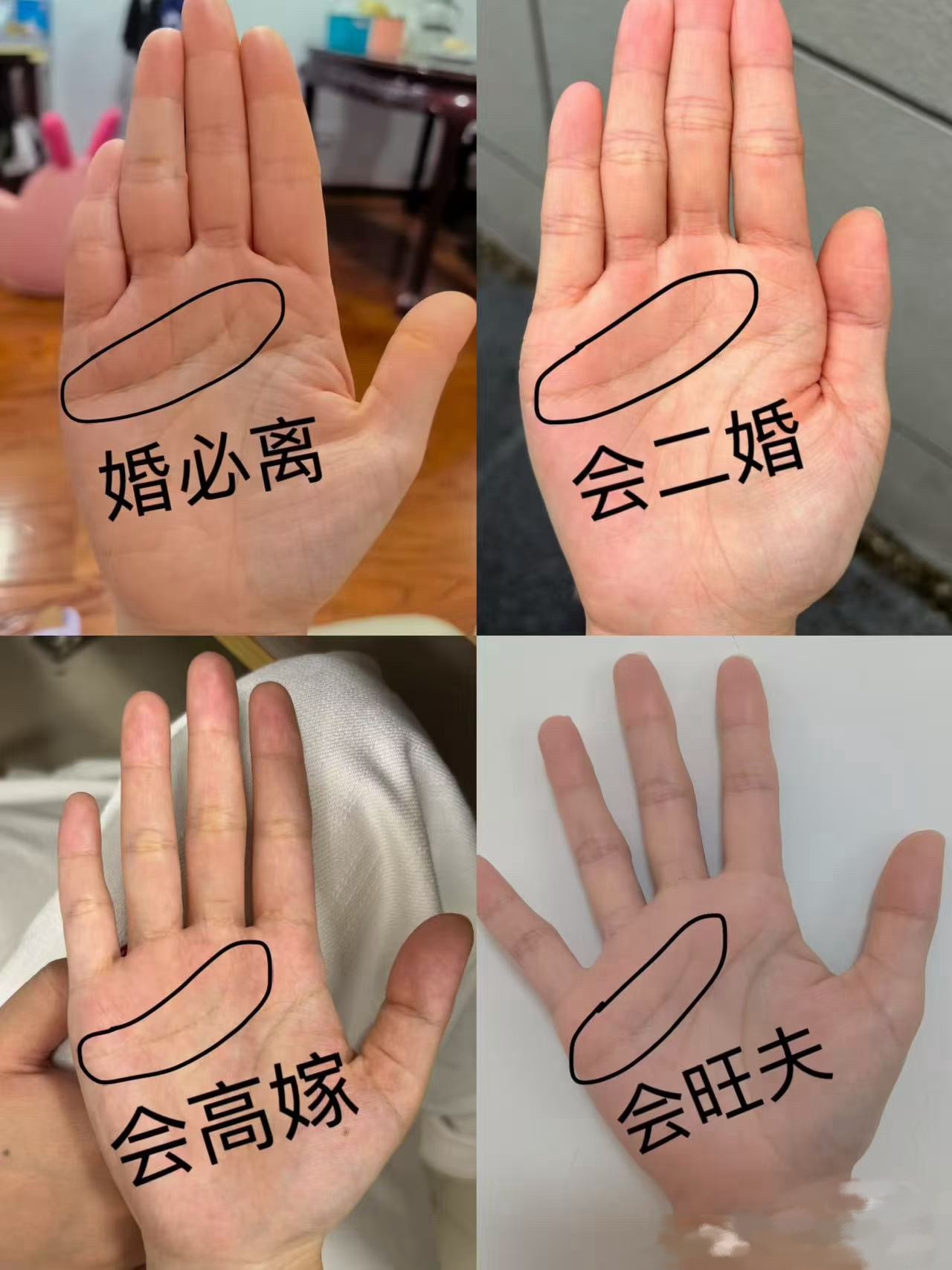 看看你是哪种命