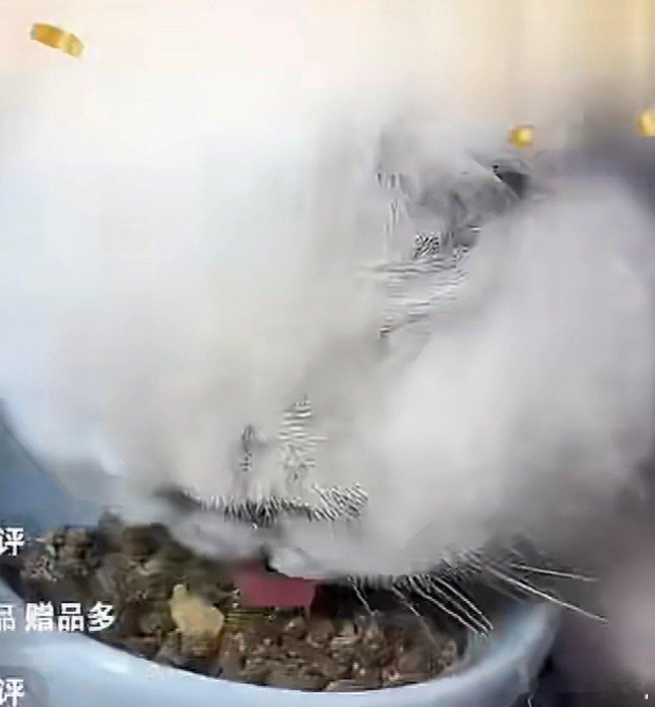 粉丝要求诚实一口向郝熠然道歉郝熠然粉丝要求诚实一口道歉 郝熠然粉丝要求诚实一口道