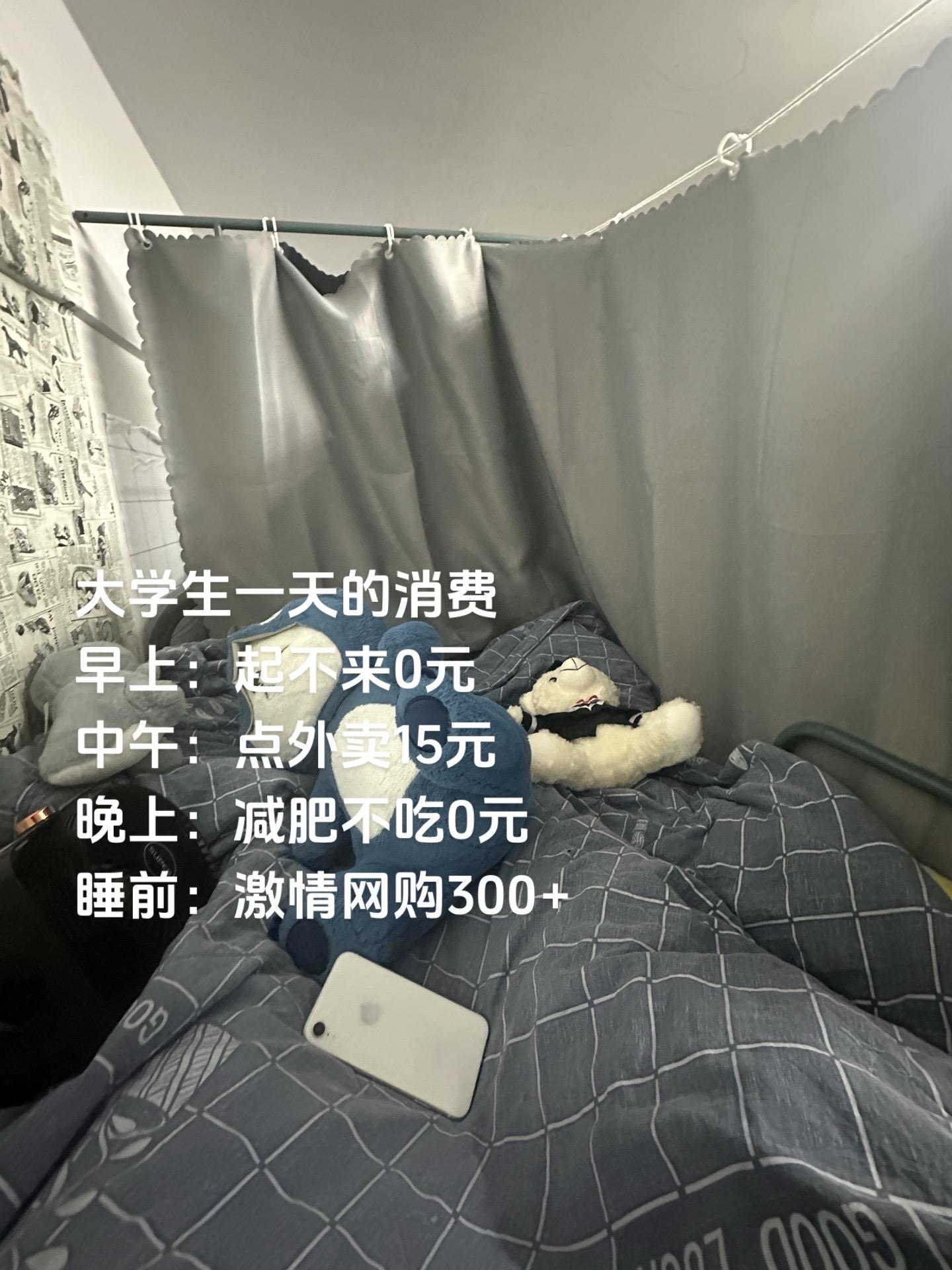大学生一天的消费