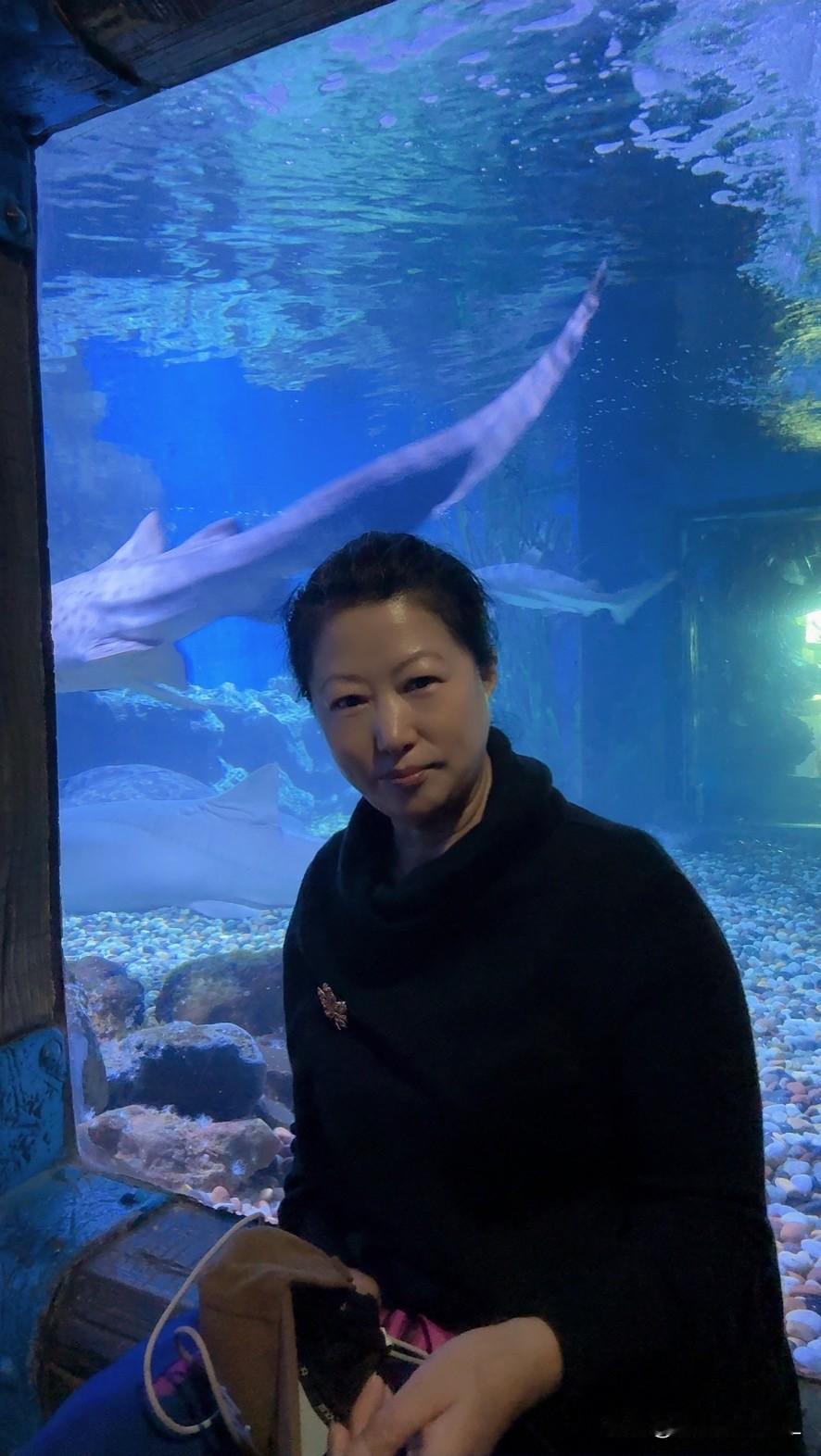 61岁了，
我的这个状态怎么样？

这些照片是我前几天在老虎滩海洋公园，

自己