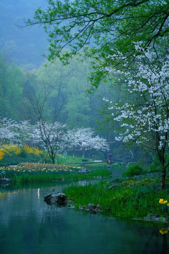 以为西湖已经够美了，直到我去了雨夜太子湾