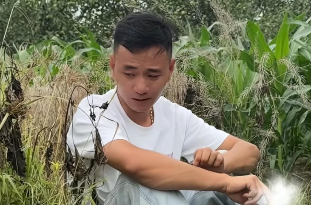 厉怀远在网上被造谣攻击，情绪一下子崩了，他哥赶紧开直播连麦劝他，顺便也隔空跟林丽