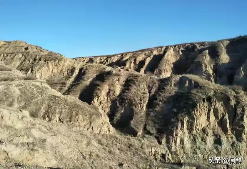 当客人散尽、当夜幕来临，整个庭院显得格外空荡和冷清，屋里屋外仿佛都缺少了一种温馨