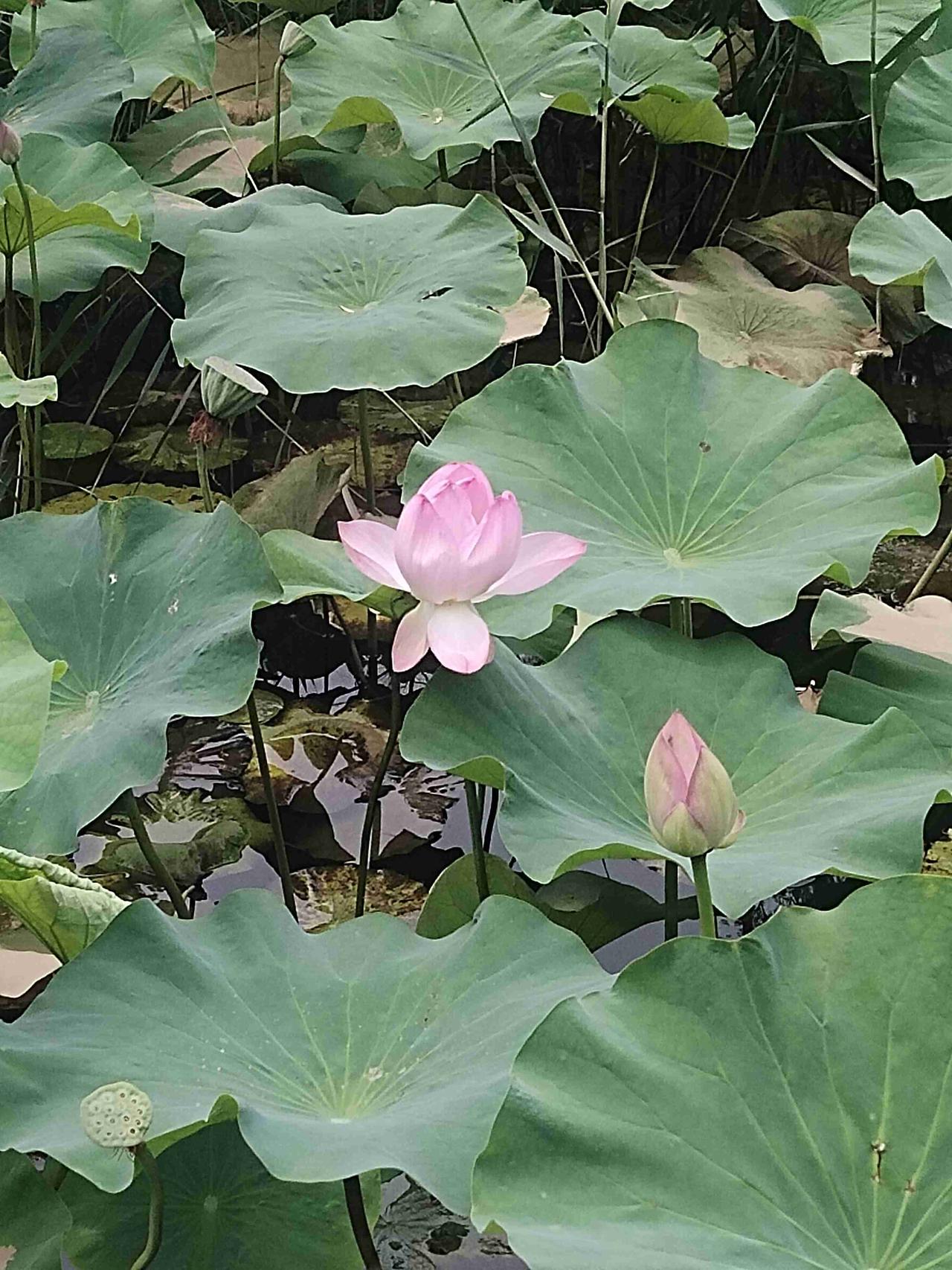 我的今日状态：😁轻松愉快
我这里的天气：☀️晴天