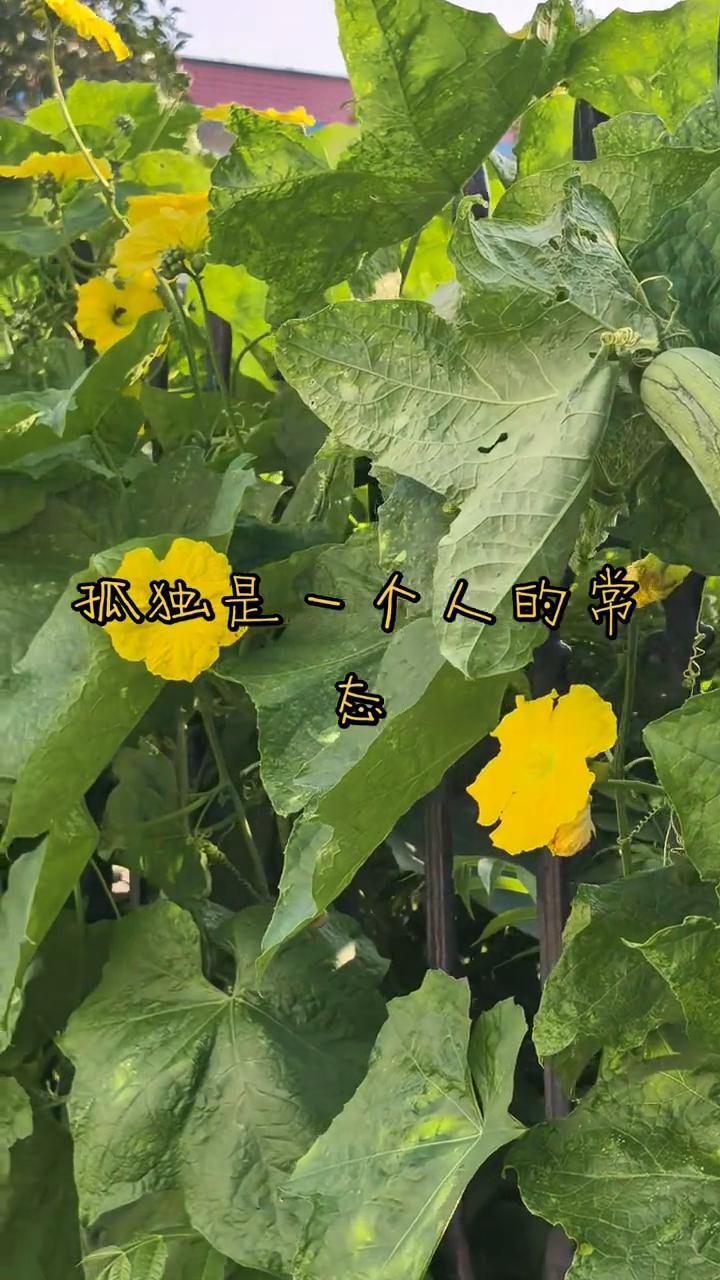 你发现没有，绝大多数的亲戚群、朋友群、同学群、战友群、家长群，各种群慢慢都会变成