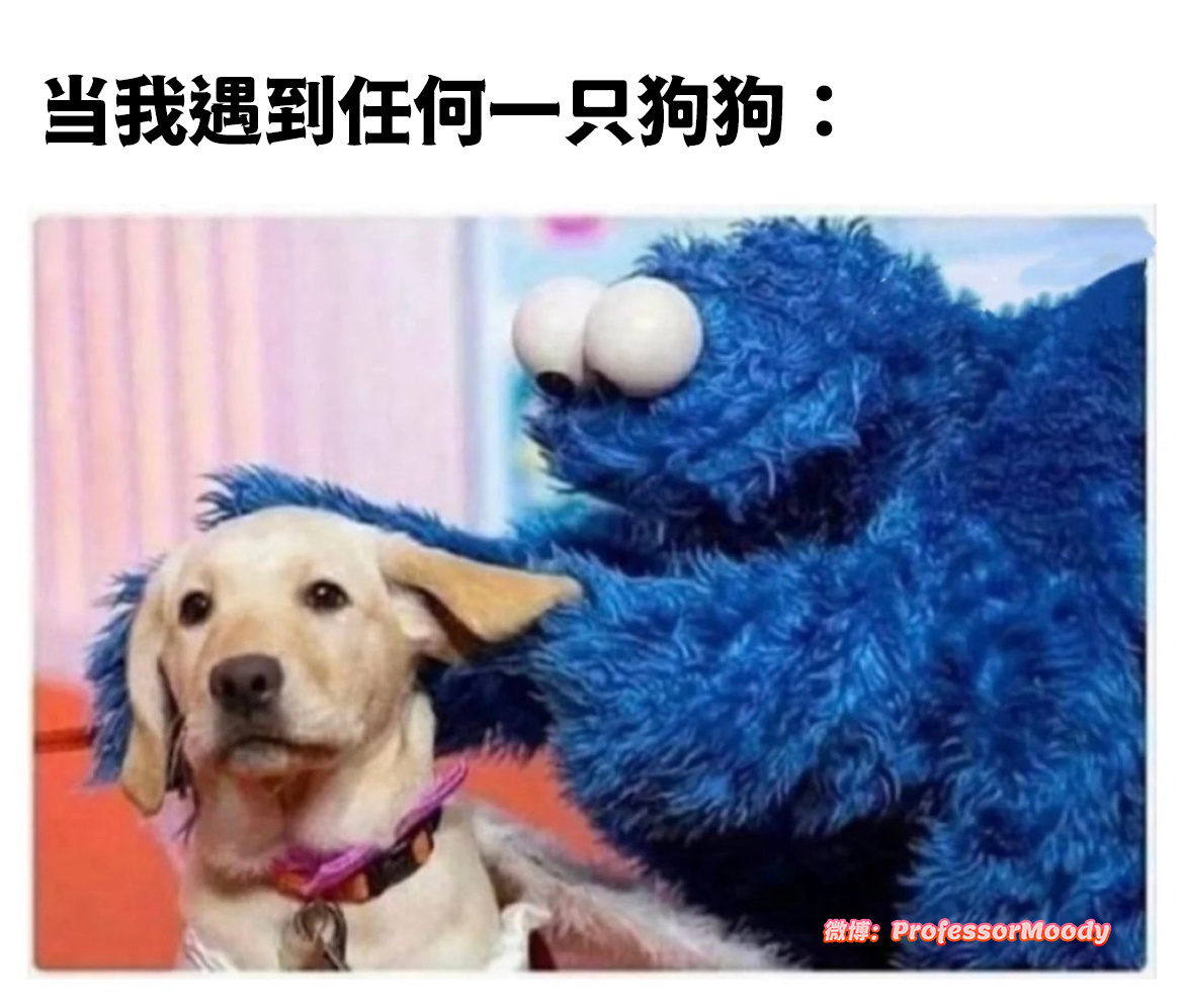 这根本就是我： 
