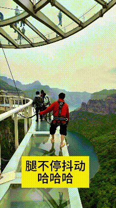 出来旅游走高空玻璃天桥，真给我笑坏了！前面大哥吓得腿一直哆嗦，走一步抖十几下，一