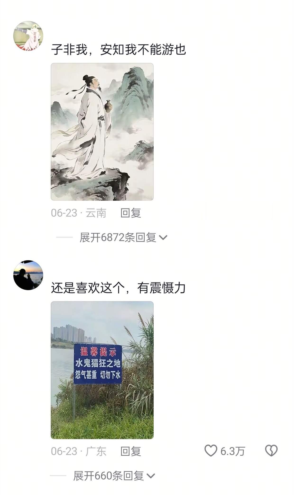 子非鱼 不能游？？？哈哈哈哈哈 