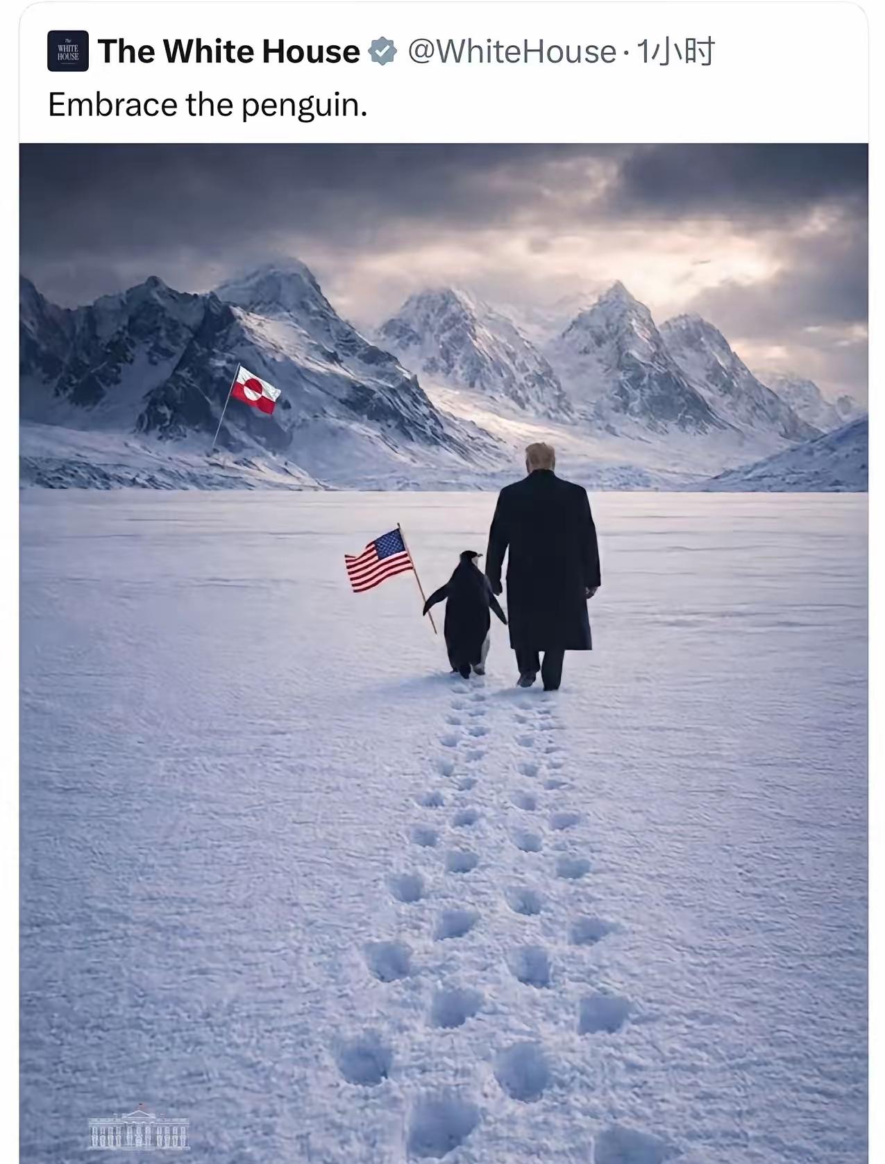 特朗普又闹了个大笑话。
白宫昨天发了一张官方AI生图，特朗普牵着企鹅，企鹅拿着星