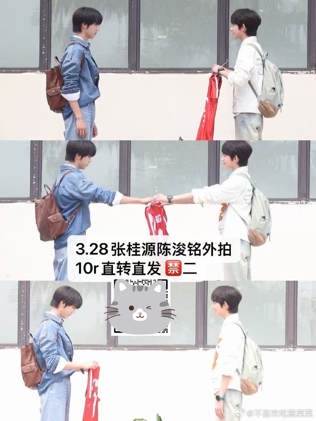 tg 陈浚铭表白张桂源？ 