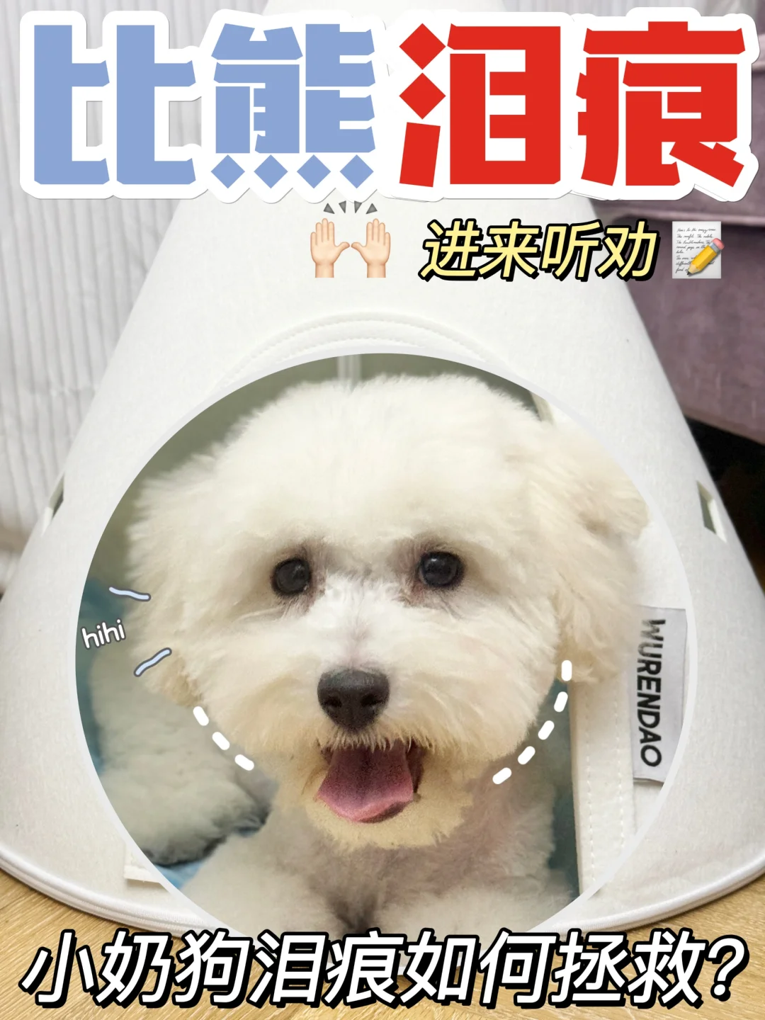 狗狗泪痕不可怕👉几招教你解决它