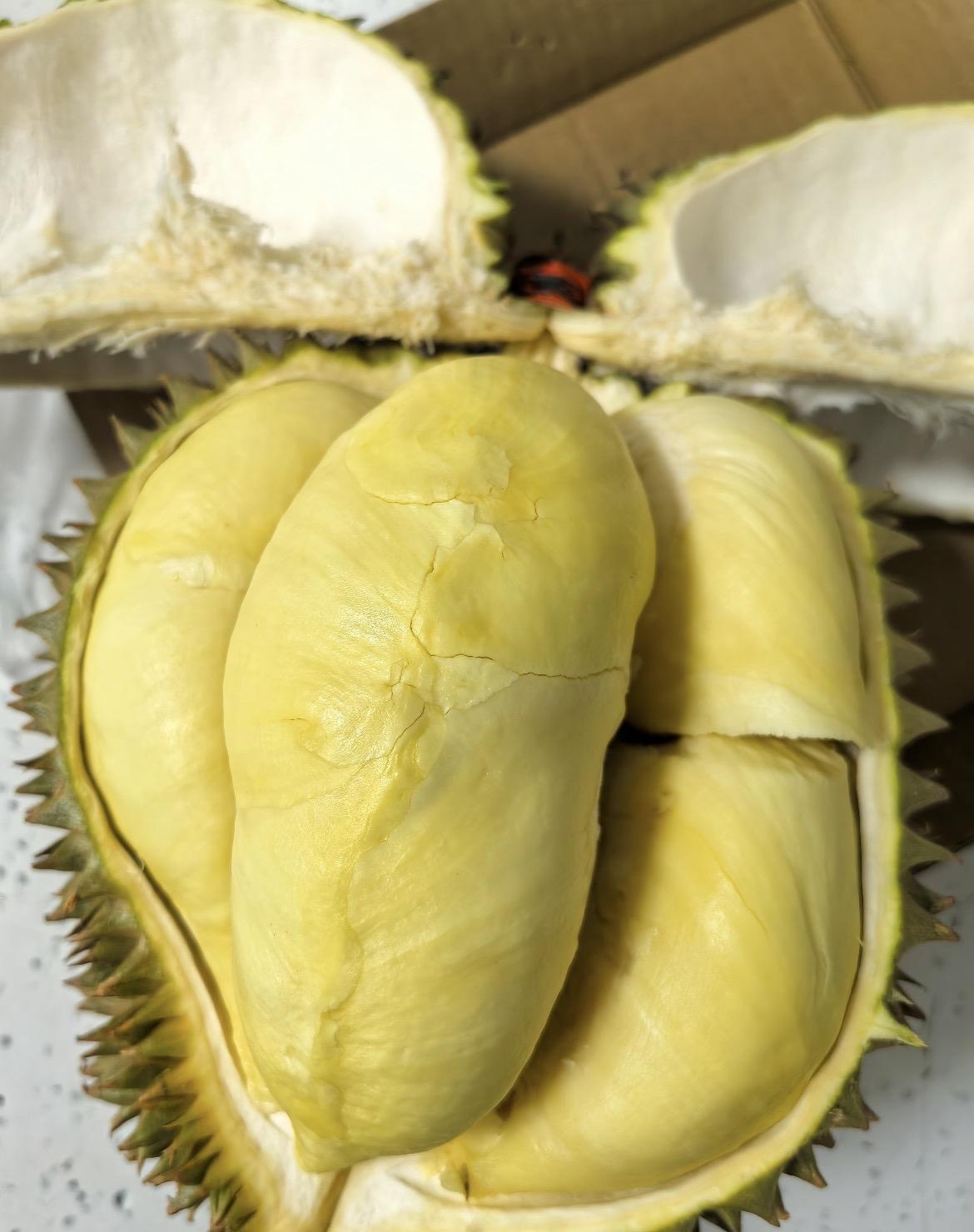 人教人教不会，事教人一次就够
我怀大宝时，听信榴莲有营养，孕期吃了不少。孩子出生