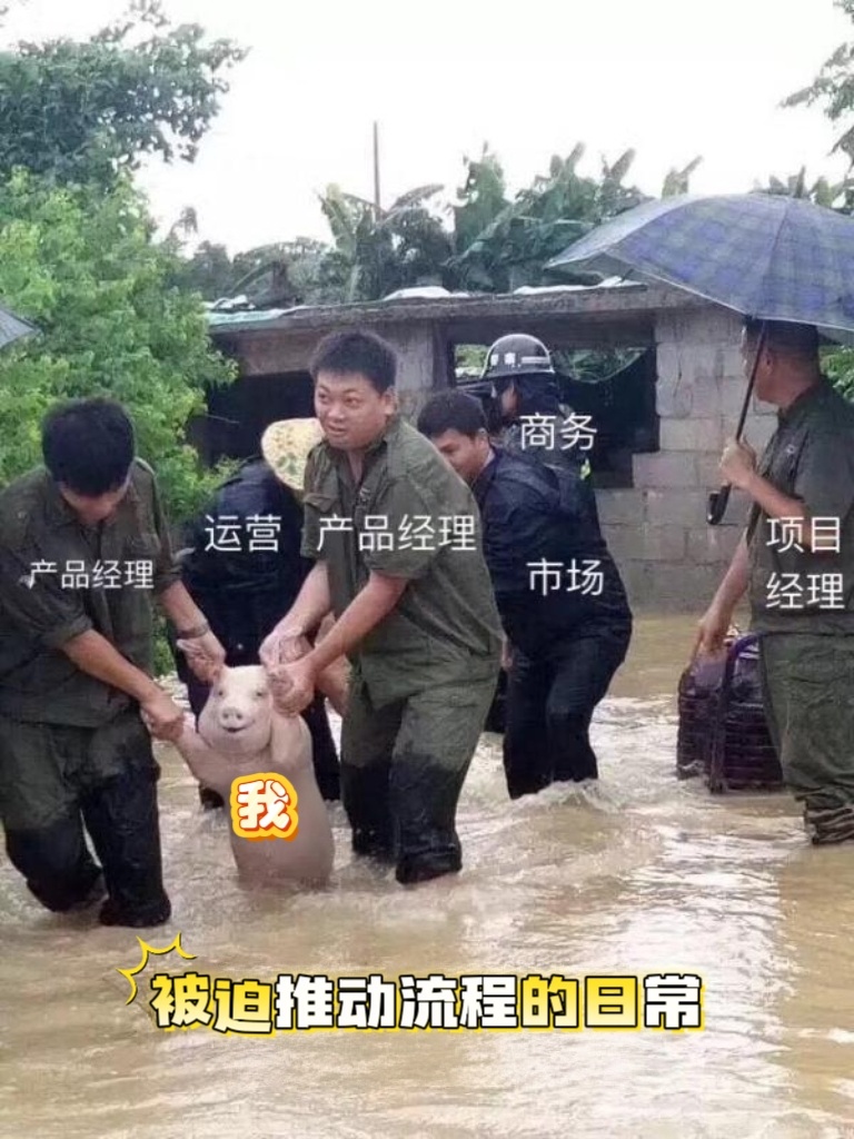 终于可以睡觉了，明天是更加充满挑战的一天准备迎接各级领导对投标方案的横挑鼻子竖挑