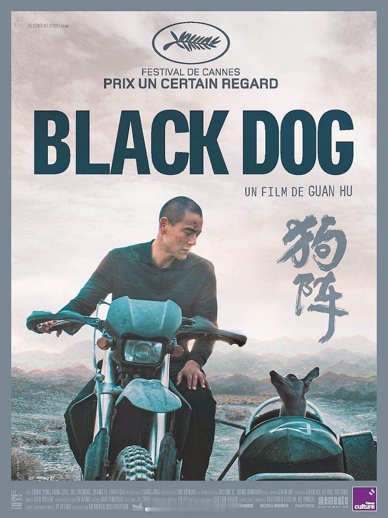 海外新鲜事 中国电影电影狗阵《Black Dog》在法国正式上映后取得了不俗的票