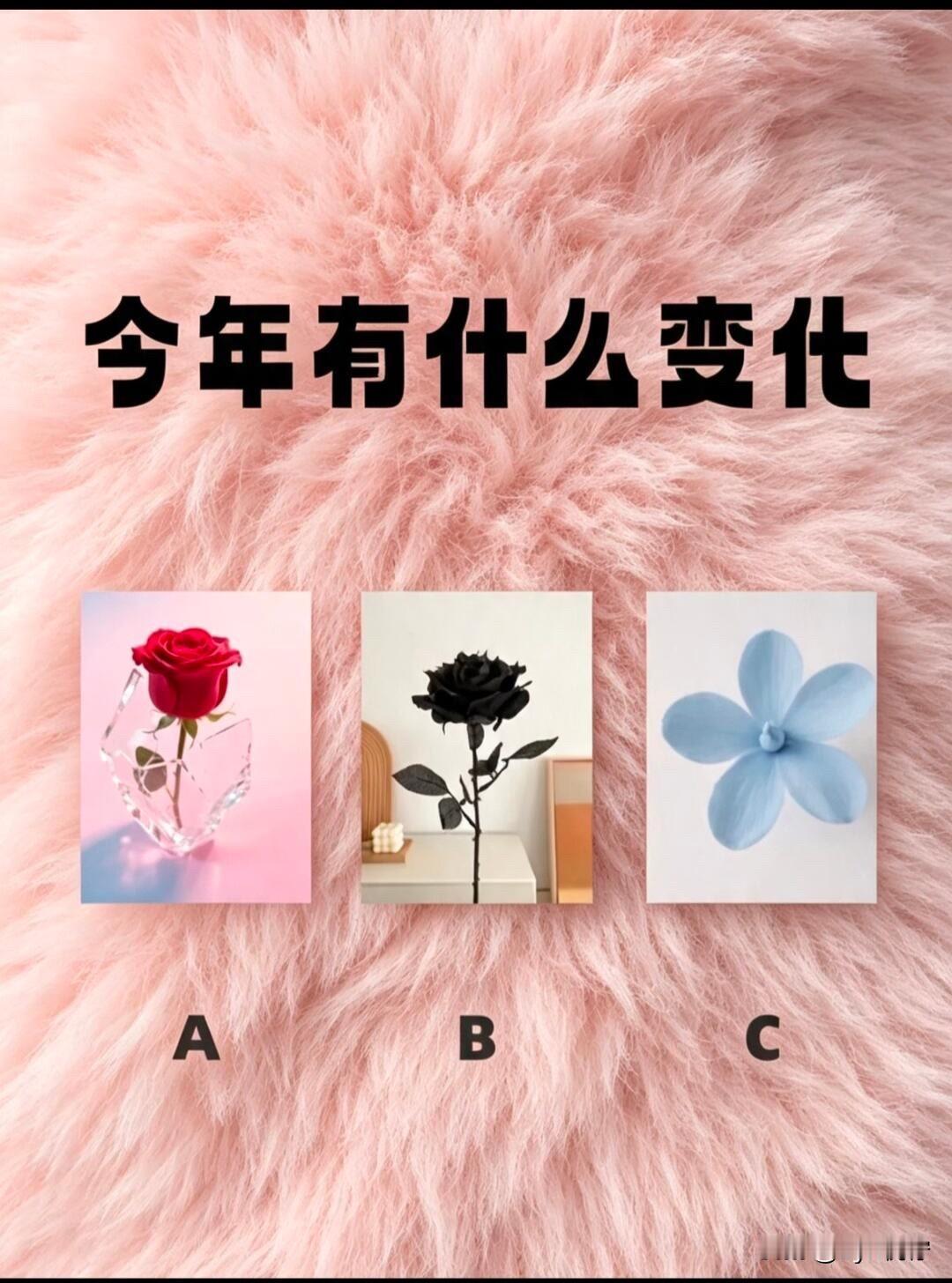 星光L让大六座迈入10万时代今年有什么变化