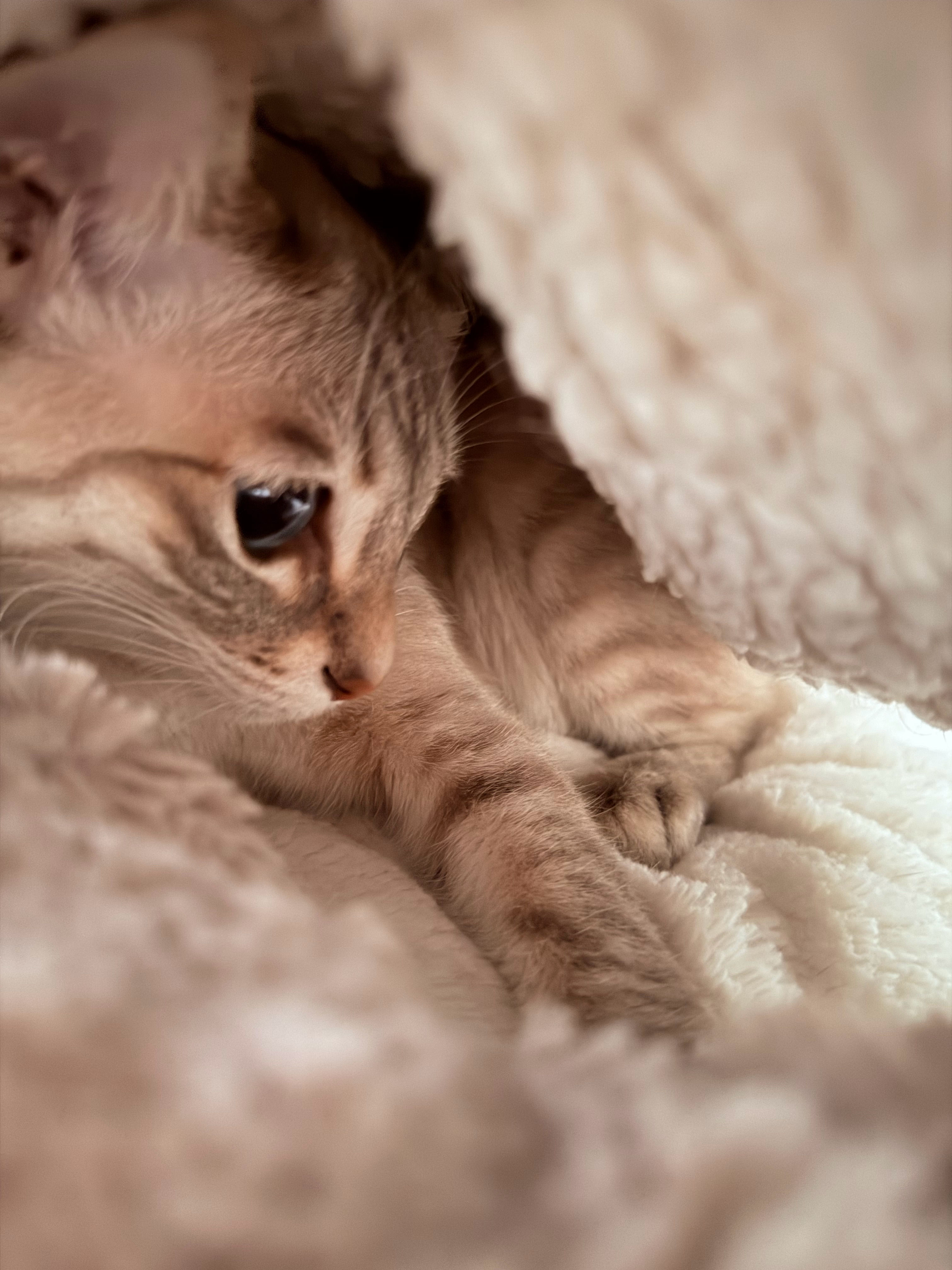 渐渐也开始糊糊起来 