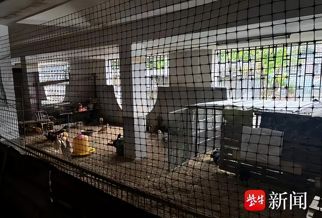 擅闯他人别墅养鸡鸭，自家鸡鸭场改停车，对这样的邻居要依法追责