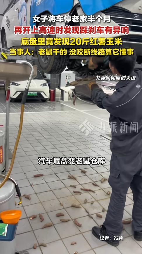 “万万没想到！”近日，广西贵港，一女子开车上高速时，踩刹车发现车辆有异响。女子赶