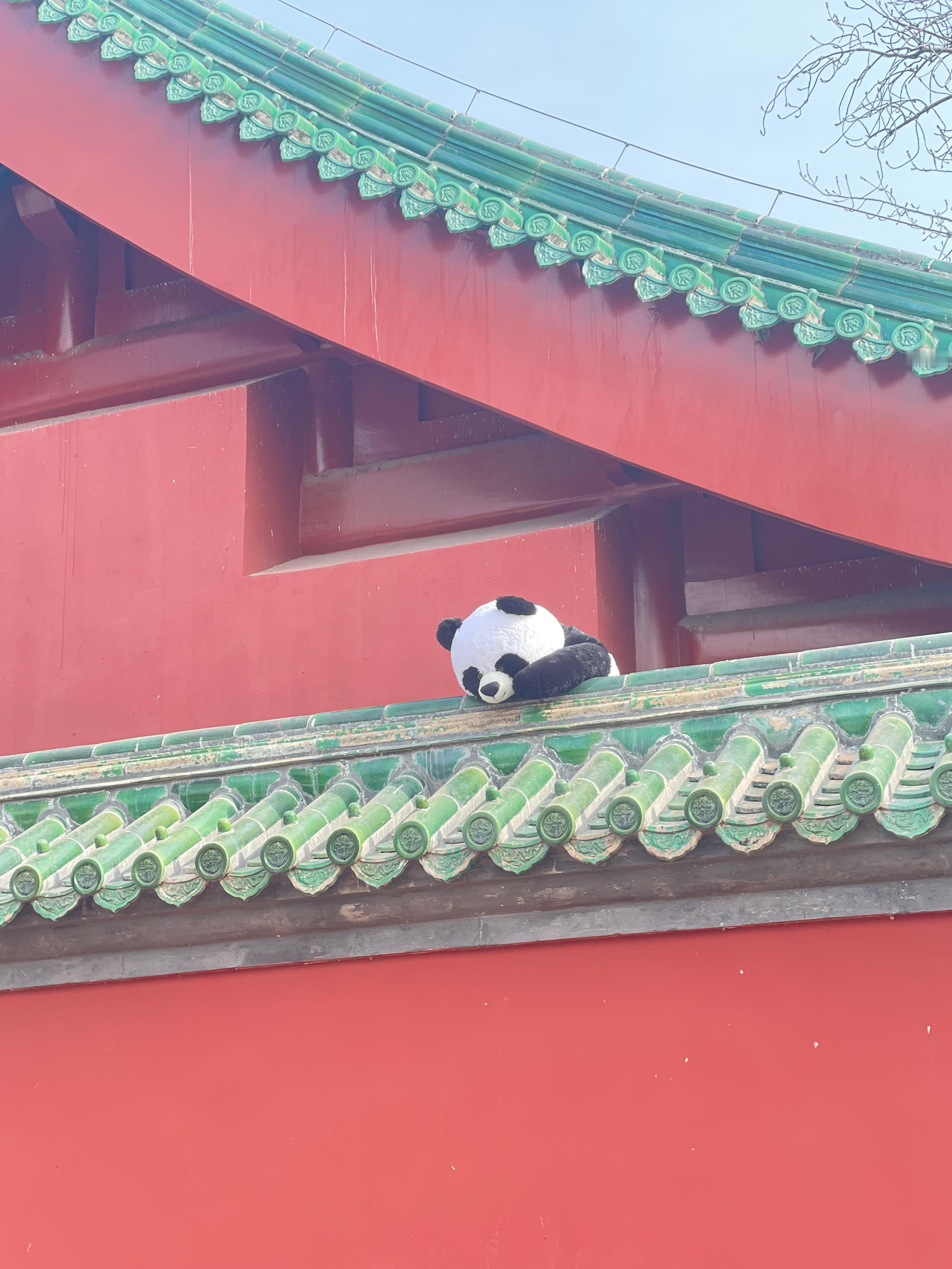 普京访华普京访华俄方代表团名单公布5月19日，俄罗斯总统普京访华前夕发表视频讲话