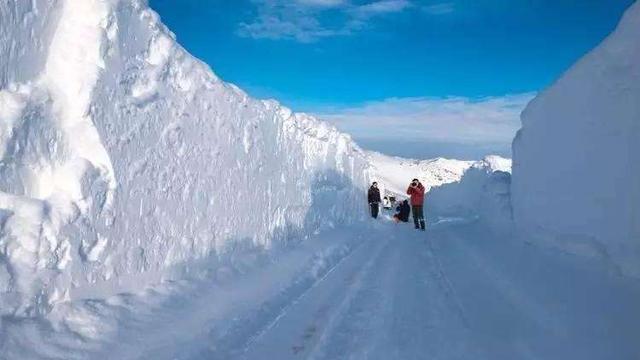 冰封欧洲！强寒潮致多国瘫痪，巴黎堵车超1000公里
 
因强极地寒潮突袭，1月5
